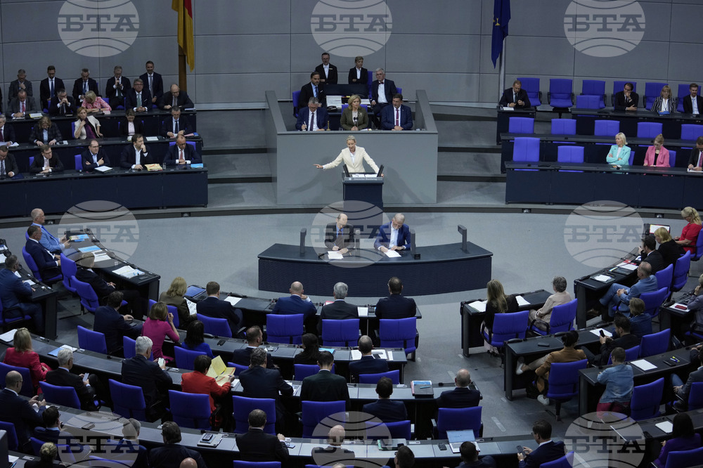 Germany Politics