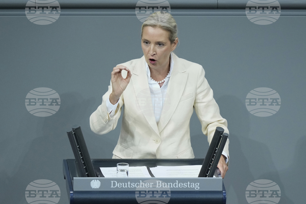Germany Politics