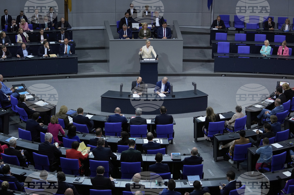 Germany Politics