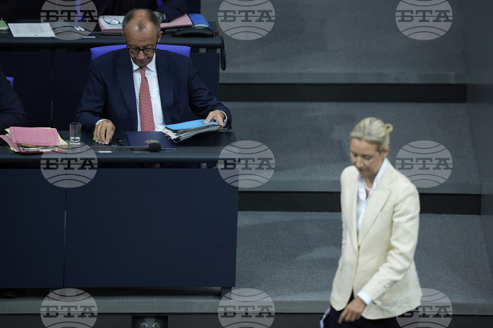 Germany Politics