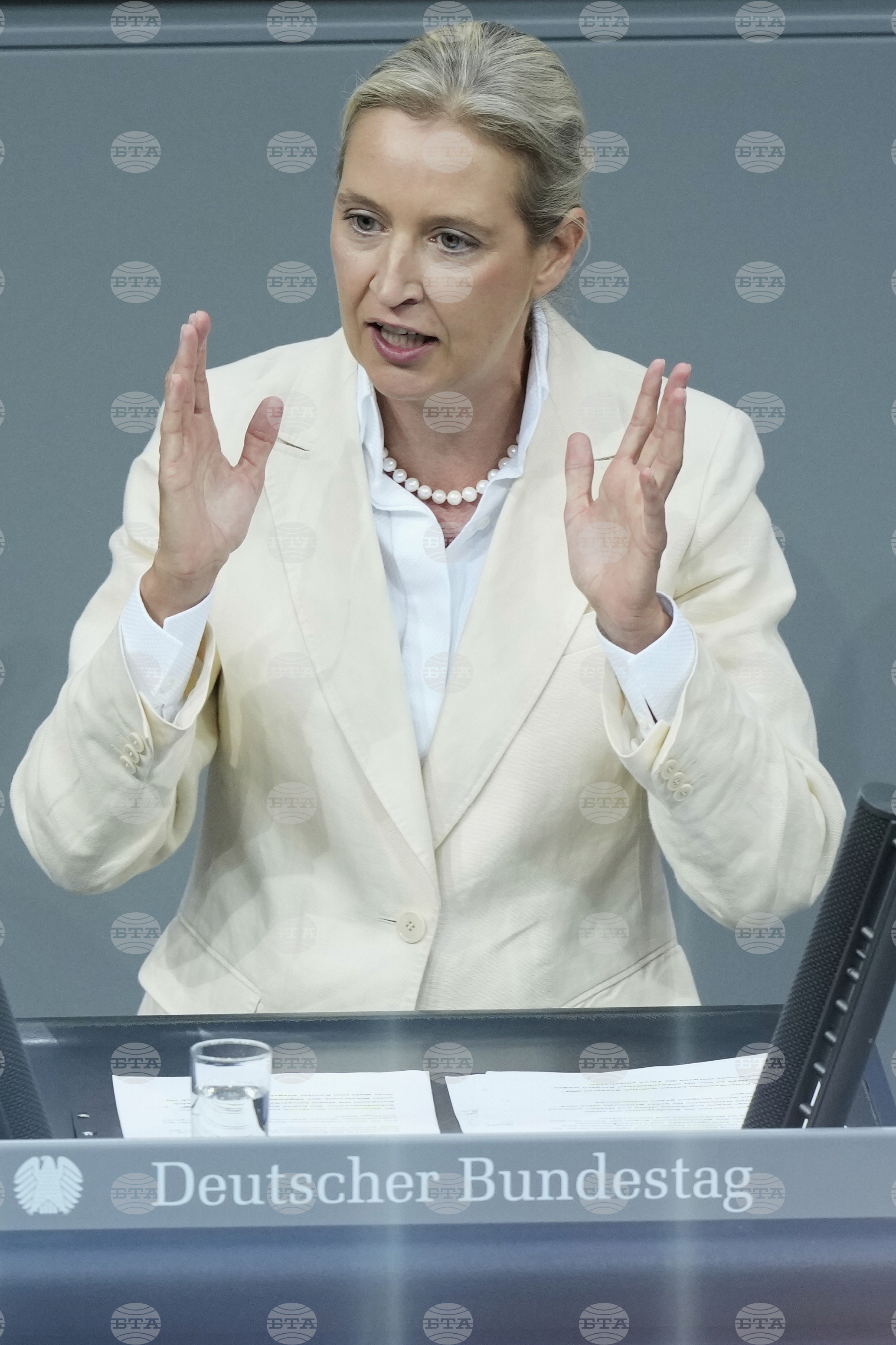Germany Politics