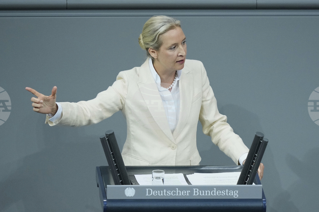 Крайнодясната "Алтернатива за Германия" досега е глобена с 1,1 млн. евро за нарушения на закона за партиите