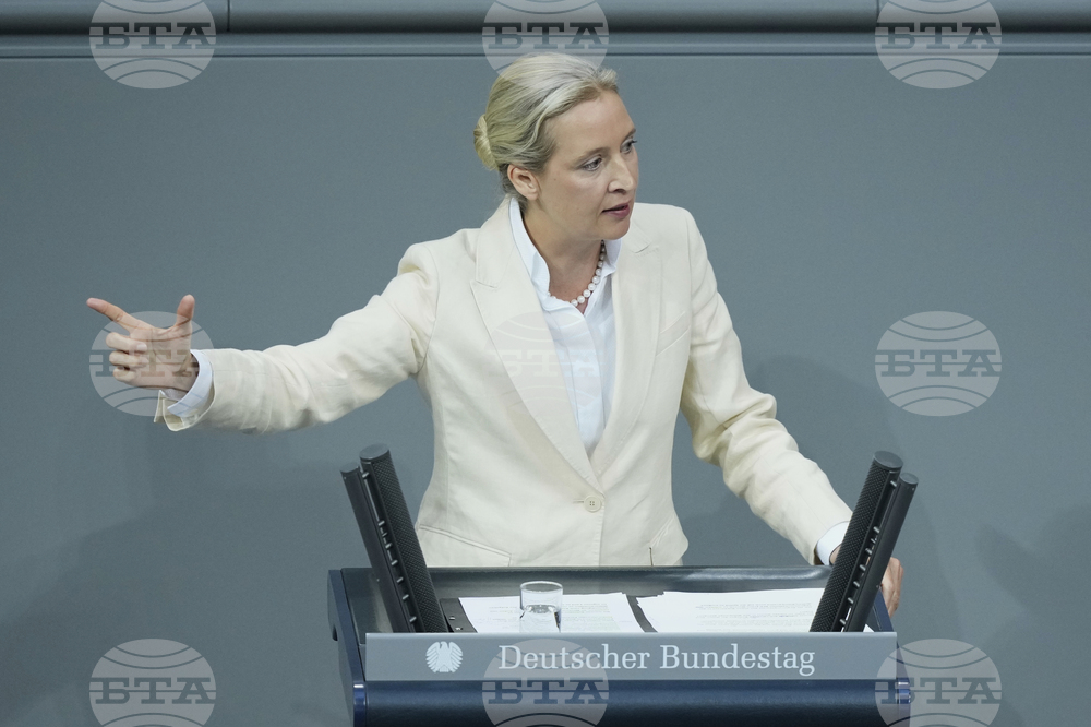 Germany Politics
