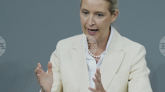 Германската крайнодясна партия „Алтернатива за Германия“ не може да бъде класифицирана като „екстремистка“, постанови съд