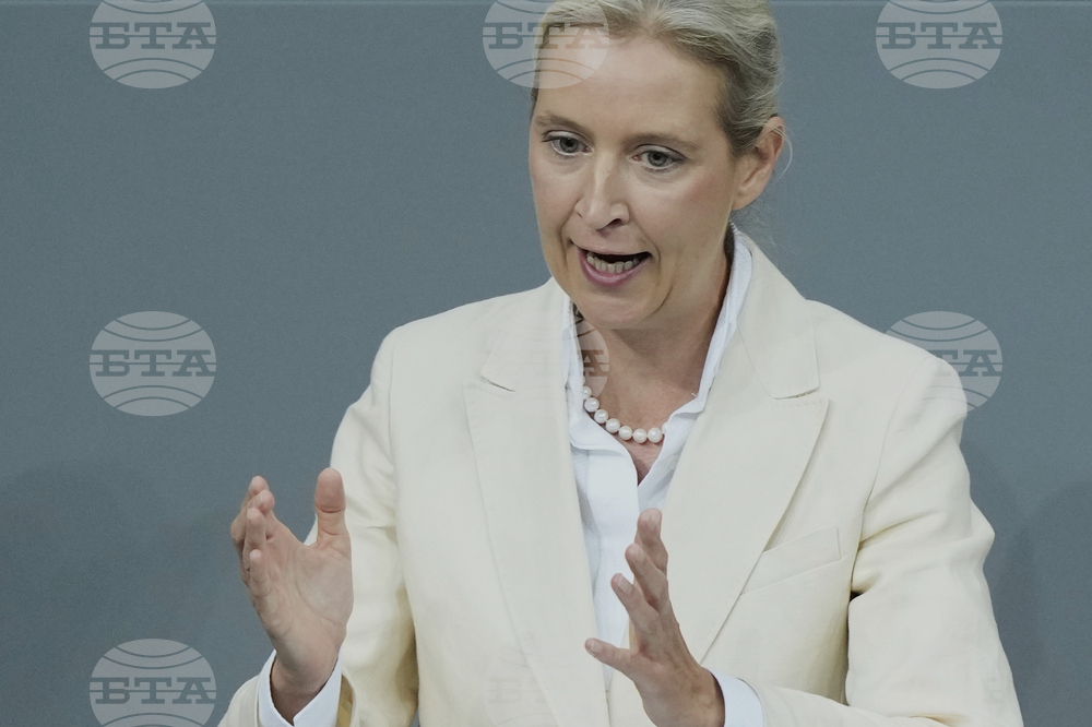 Germany Politics