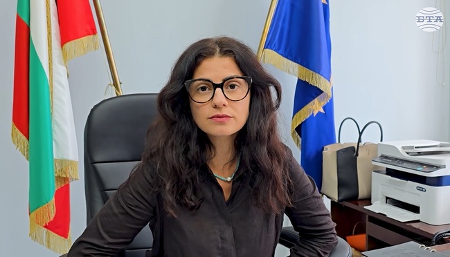 Почти всички пожари на територията на област Видин са овладени и изгасени, съобщи областният управител Ани Арутюнян