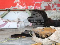 Поморие - нелегален дом за възрастни хора