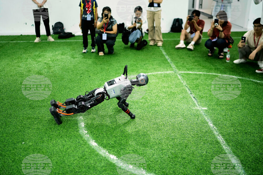China Robot Soccer