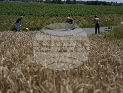 Cycling Tour de France