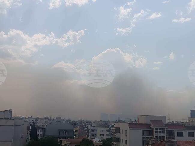 Пожар гори до бившето Държавно земеделско стопанство в Пазарджик, съобщиха от полицията