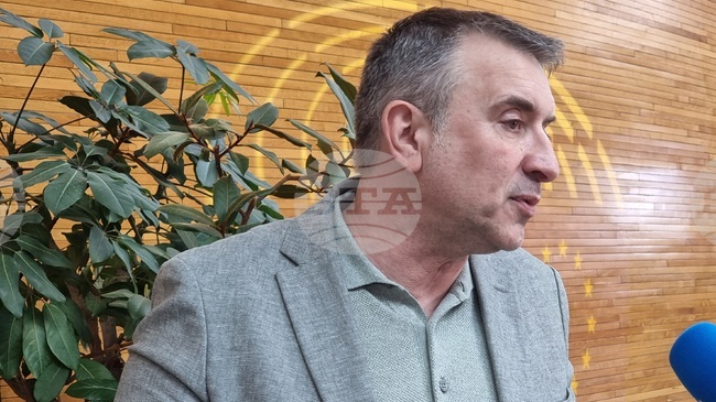 Bulgarian MEP Lauds “Common Sense” in European Parliament Report on North Macedonia