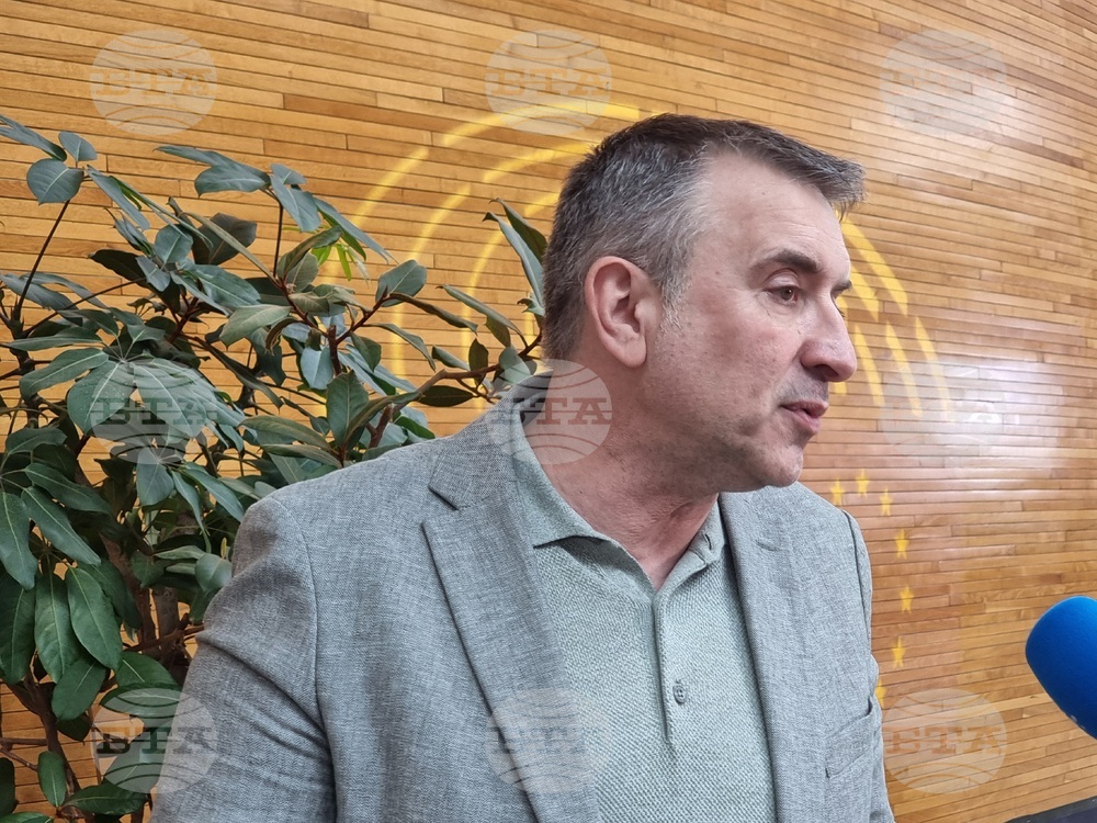 Франция - Страсбург - Република Северна Македония - Годишен доклад на Европейския парламент - гласуване