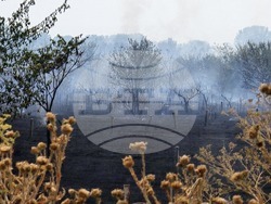 От 15 юли започват съвместни проверки в горските територии на Сливенско