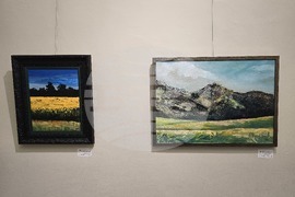 Плевен - изложба - Владимира Йорданова