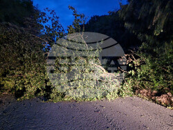 Паднало дърво е препречило пътя между паметник "Създатели на българската държава" и Стария град на Шуменското плато. Голям клон е паднал на алеята между СУ "Сава Доброплодни" и Профилирана езикова гимназия "Никола Й. Вапцаров" в Шумен