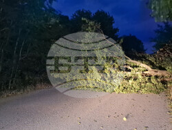 Паднало дърво е препречило пътя между паметник "Създатели на българската държава" и Стария град на Шуменското плато. Голям клон е паднал на алеята между СУ "Сава Доброплодни" и Профилирана езикова гимназия "Никола Й. Вапцаров" в Шумен