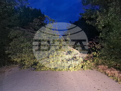 Паднало дърво е препречило пътя между паметник "Създатели на българската държава" и Стария град на Шуменското плато. Голям клон е паднал на алеята между СУ "Сава Доброплодни" и Профилирана езикова гимназия "Никола Й. Вапцаров" в Шумен