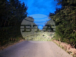 Паднало дърво е препречило пътя между паметник "Създатели на българската държава" и Стария град на Шуменското плато. Голям клон е паднал на алеята между СУ "Сава Доброплодни" и Профилирана езикова гимназия "Никола Й. Вапцаров" в Шумен