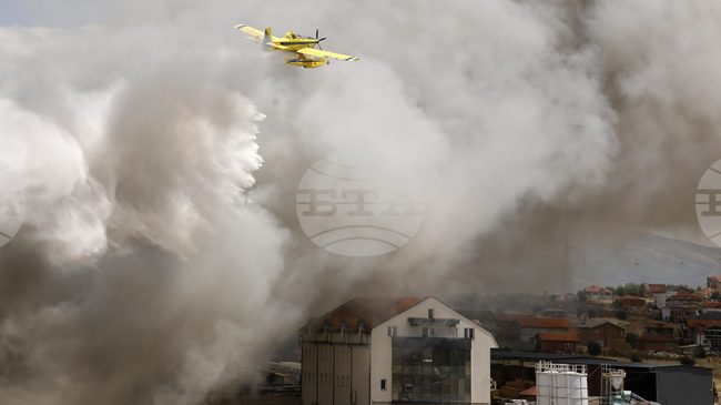 Пилотът, който загина при самолетна катастрофа в Хърватия в четвъртък, е имал и българско гражданство