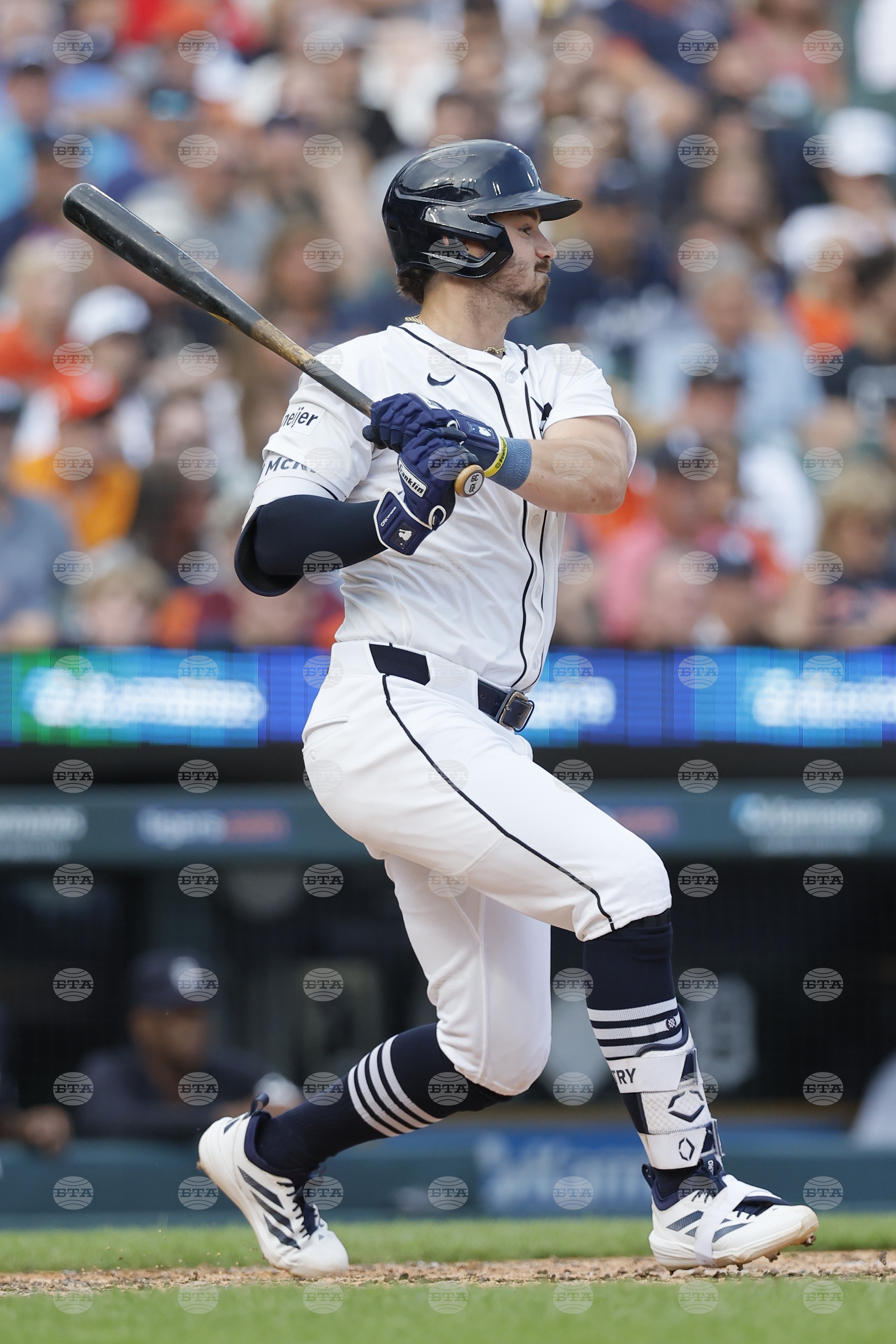Rays Tigers Baseball