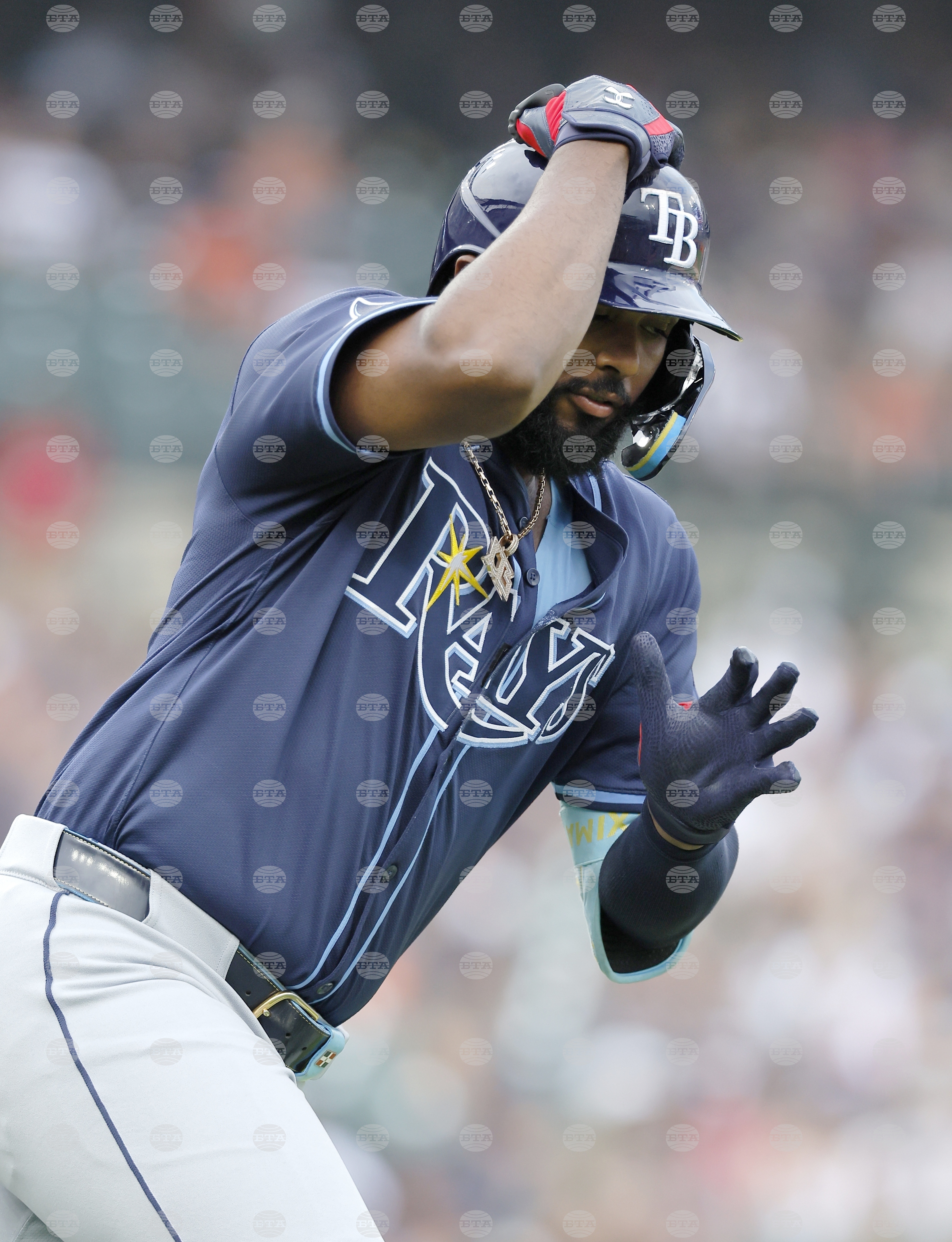 Rays Tigers Baseball