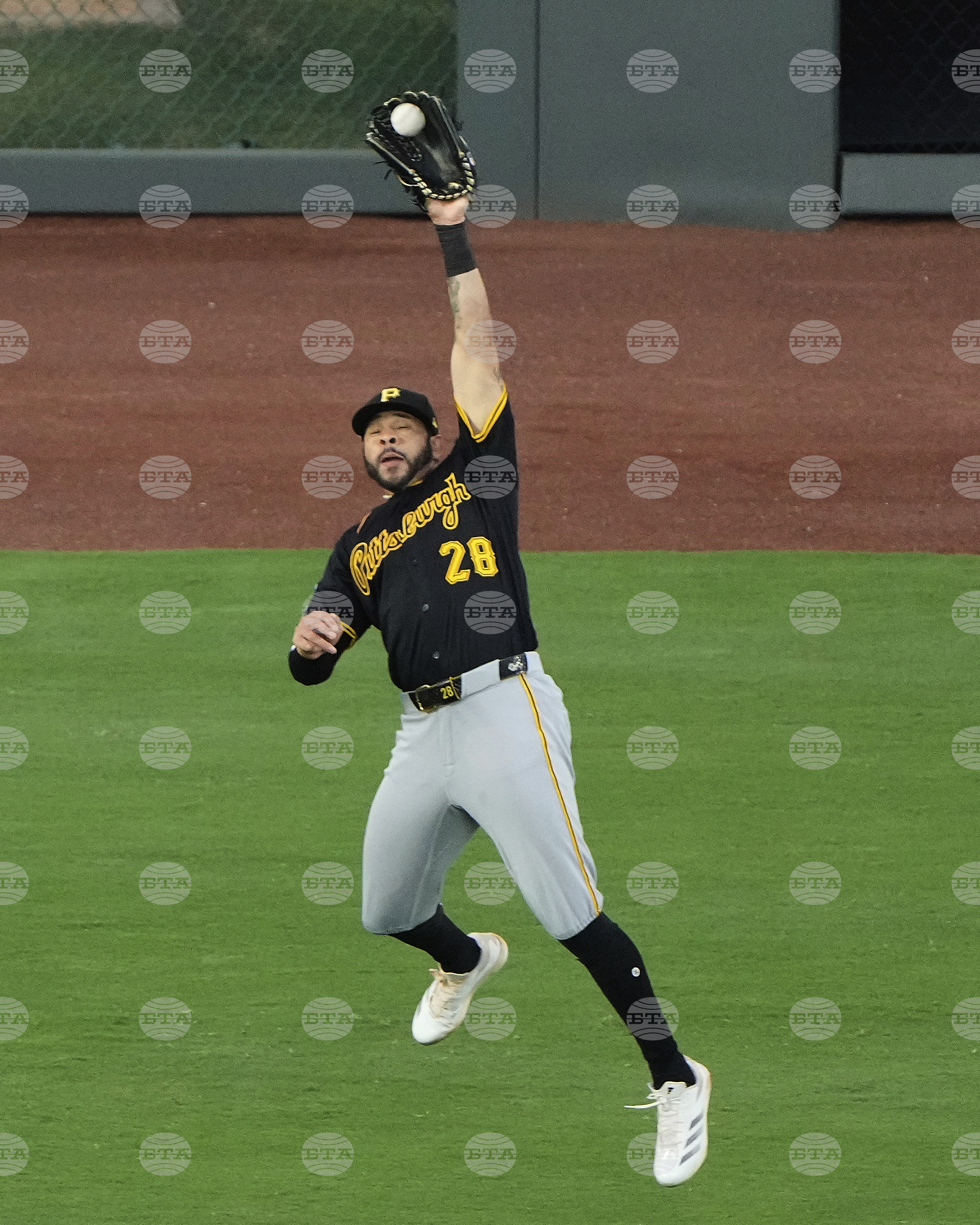 Pirates Royals Baseball