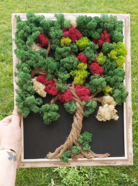 Участник в 33-ата българска научна експедиция до Антарктида ще изнесе беседа в Пловдив