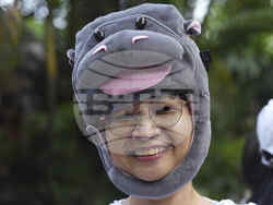 Thailand Pygmy Hippo