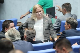 Народно събрание - заседание