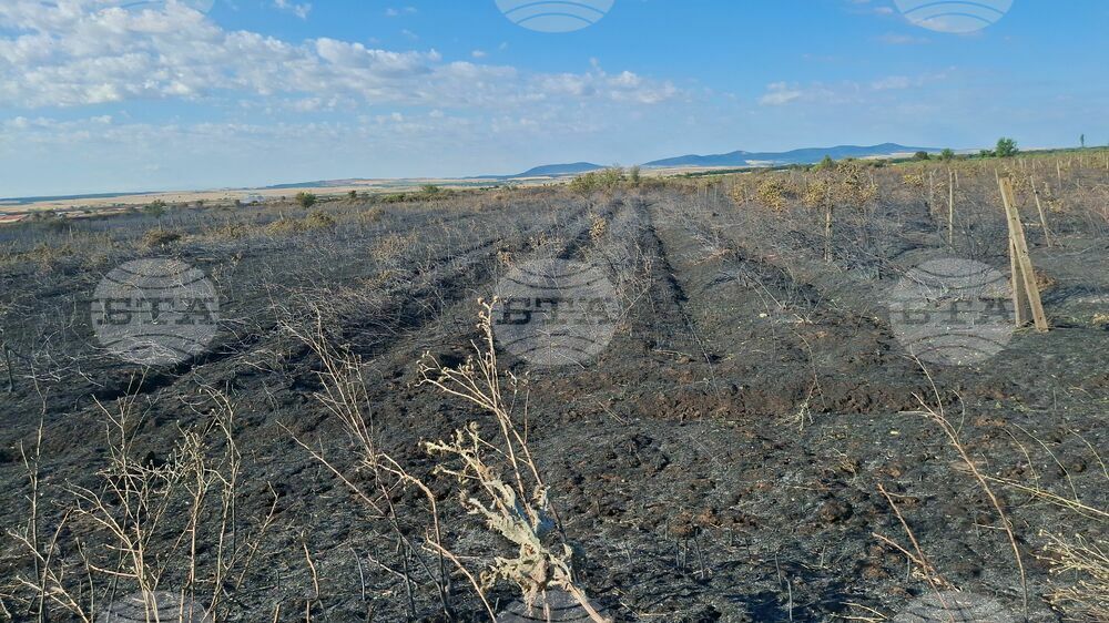 Всичките 24 пожара, възникнали през последното денонощие в област Ямбол, са овладени