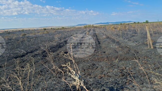 Всичките 24 пожара, възникнали през последното денонощие в област Ямбол, са овладени