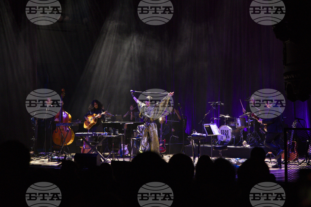Yeah Yeah Yeahs in Concert - Los Angeles