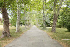 Парк ,,Врана” - предаване на ключове 