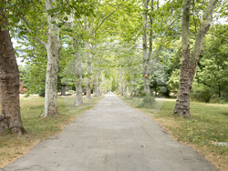 Парк ,,Врана” - предаване на ключове