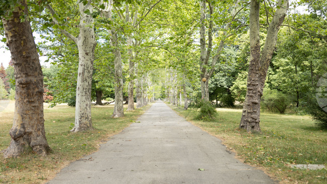Областният управител на София Вяра Тодева прекрати обществената поръчка за озеленяване и поддръжка на парк „Врана“ за 2026 година
