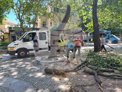 Сливен - вятър - щети