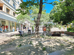 Сливен - вятър - щети