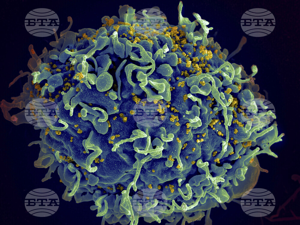 Global AIDS Report