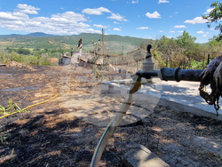 Хисаря - вилна зона „Отдих” - пожар - щети