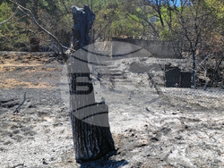 Хисаря - вилна зона „Отдих” - пожар - щети