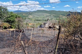Хисаря - вилна зона „Отдих” - пожар - щети