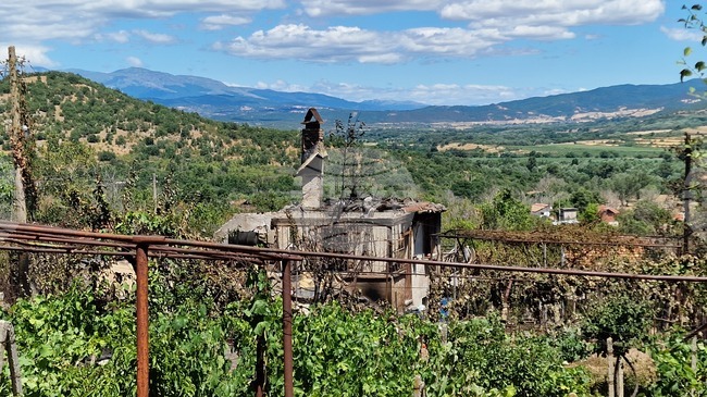 Засегнатите от пожара постройки във вилна зона „Отдих“ край село Песнопой са били безстопанствени и изоставени, каза кметът на Хисаря Ива Вълчева