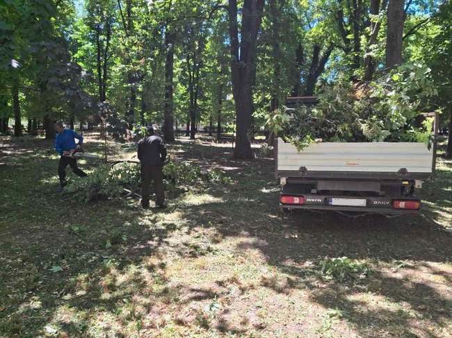 Около 15 тона дървени трупи и паднали клони след бурята са изнесени от улиците на Шумен