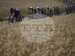 Cycling Tour de France