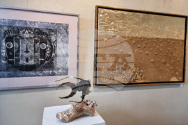 Варна - „Нежност и сила“ - изложба