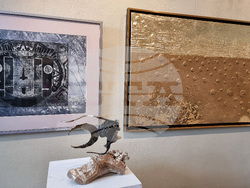 Варна - „Нежност и сила“ - изложба