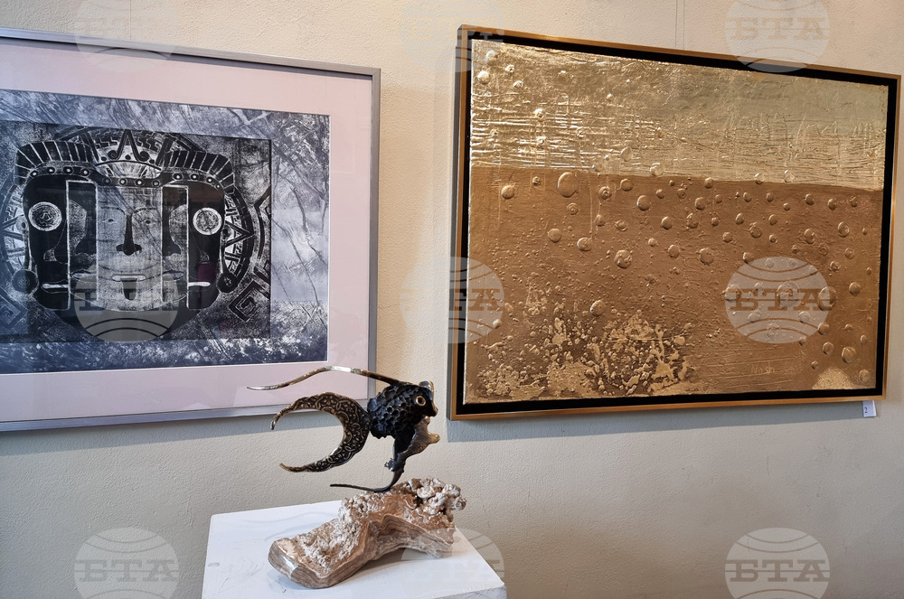 Варна - „Нежност и сила“ - изложба