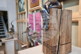 Варна - „Нежност и сила“ - изложба