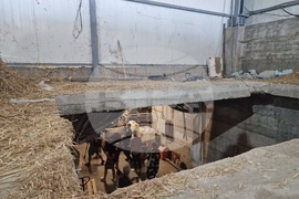 Село Момково - нелегална фабрика за цигари - брифинг