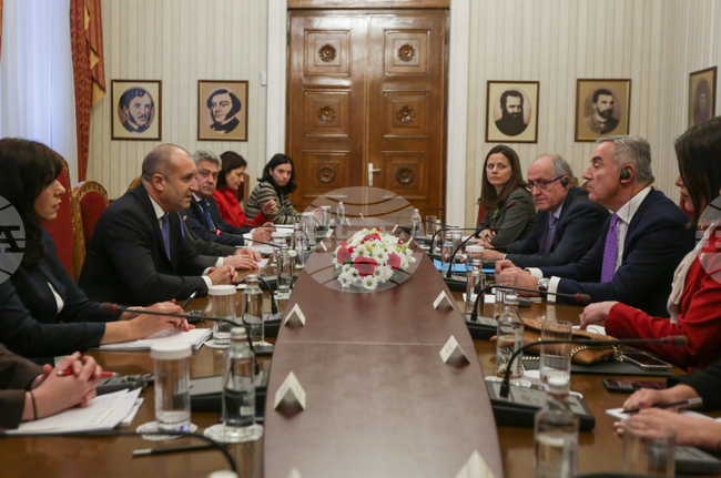 Румен Радев - Мило Джуканович - пленарни разговори